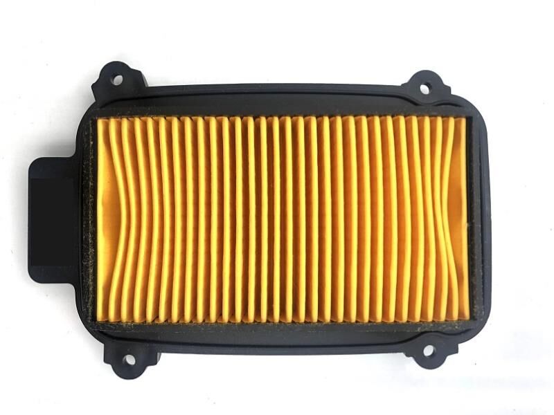 Hero 102 Pleasure - Duet Hava Filtre Elemanı