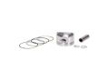 Piston 56.75 (0.25) 15P Cg 125
